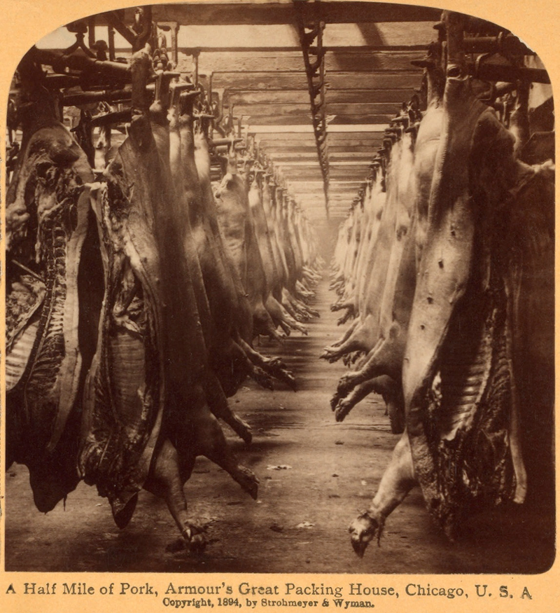 Illustration for article titled Utterly Disturbing, Century-Old Photos of Meat-Packing Facilities
